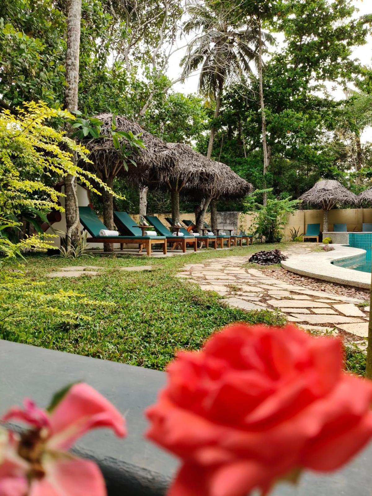 Marari Beach Bungalow Resort Alleppey Mararikulam Exterior foto